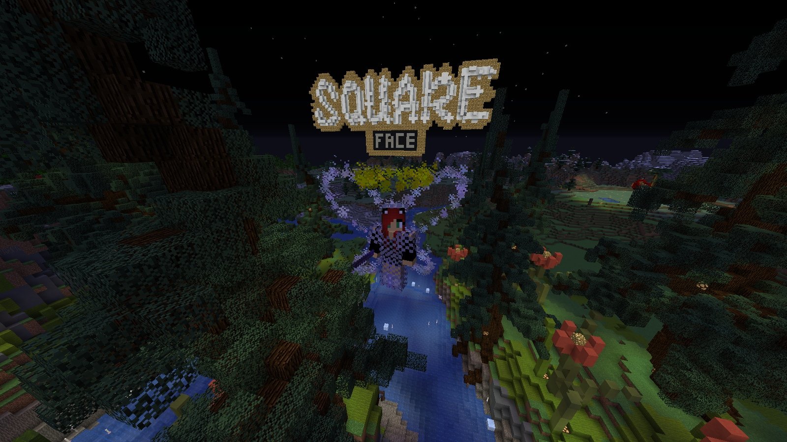 SquareFace скриншот