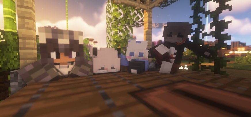 SleepCraft скриншот